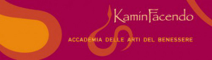 kaminfacendo